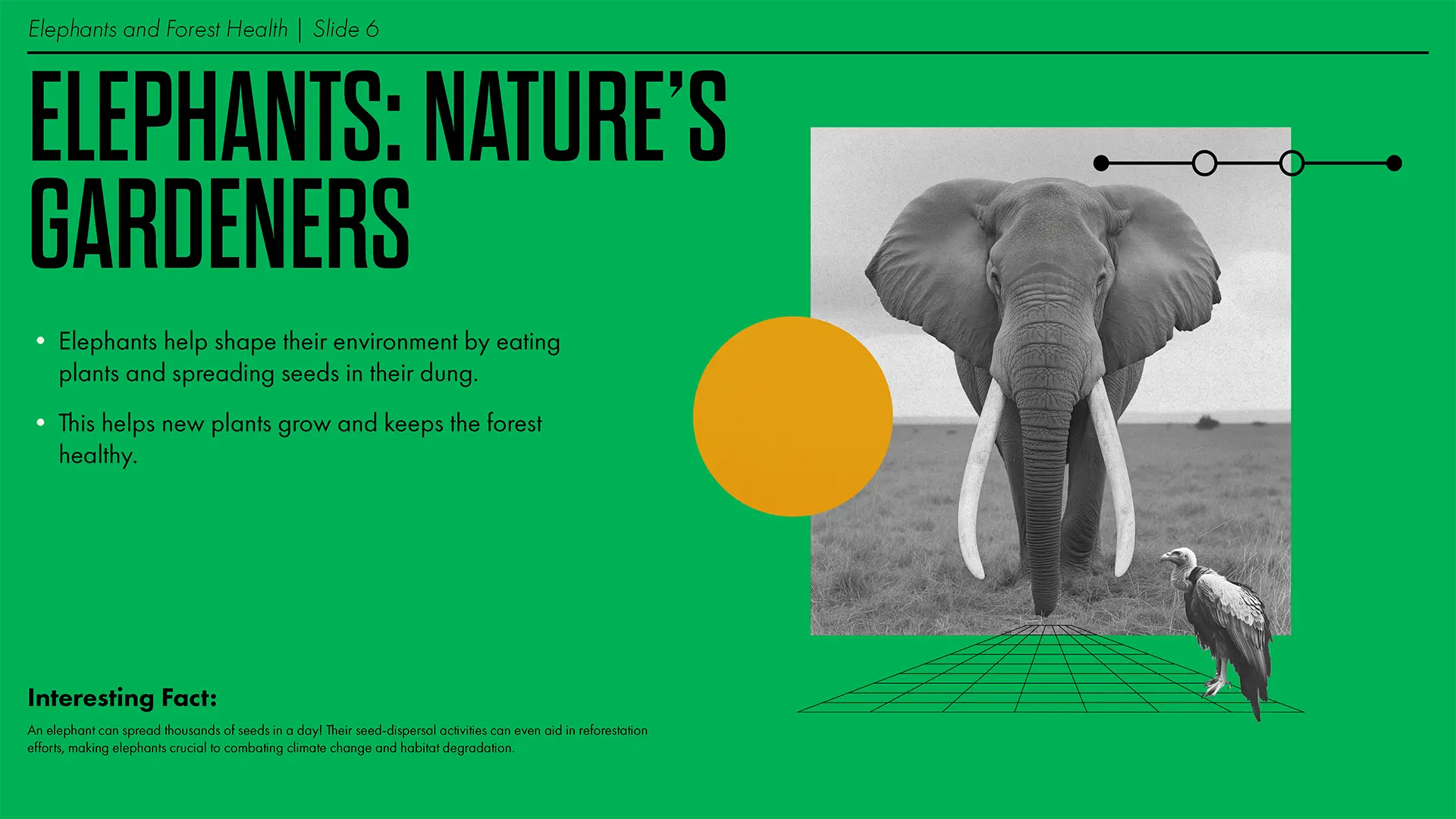 Climate presentation slide 3